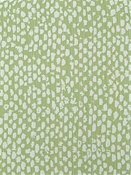 Conga Lime Bella Dura Fabric